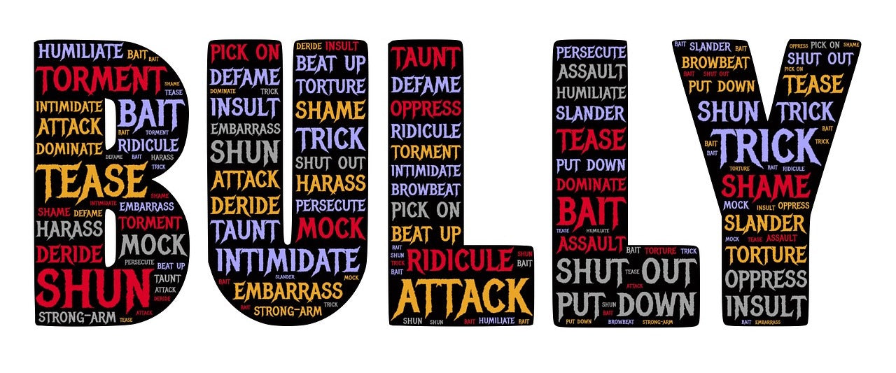 The Long-Lasting effects of Bullying - Never underestimate the damage that bullying can cause